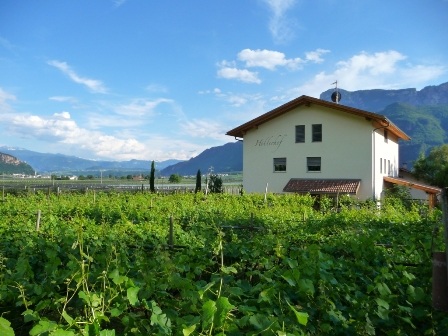 The new Höllerhof - Apartments - South Tyrol