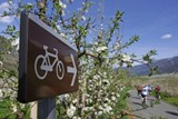 Zahlreiche Fahrradwege