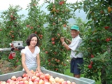 Höllerhof - Appartamenti - Vilpiano/Terlano - Alto Adige