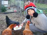 Galline